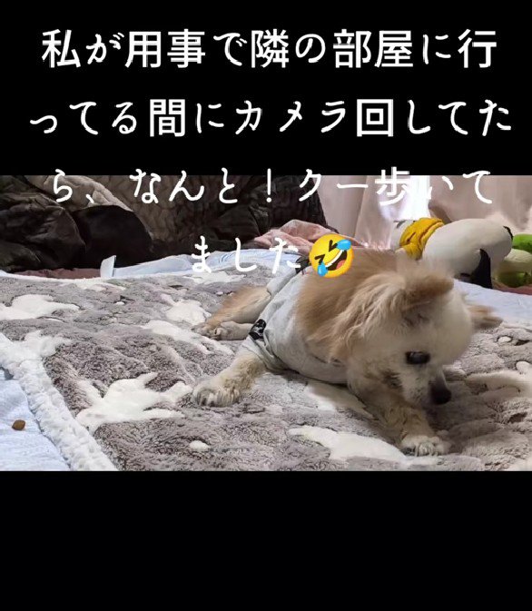 20才7ヶ月のクーちゃん