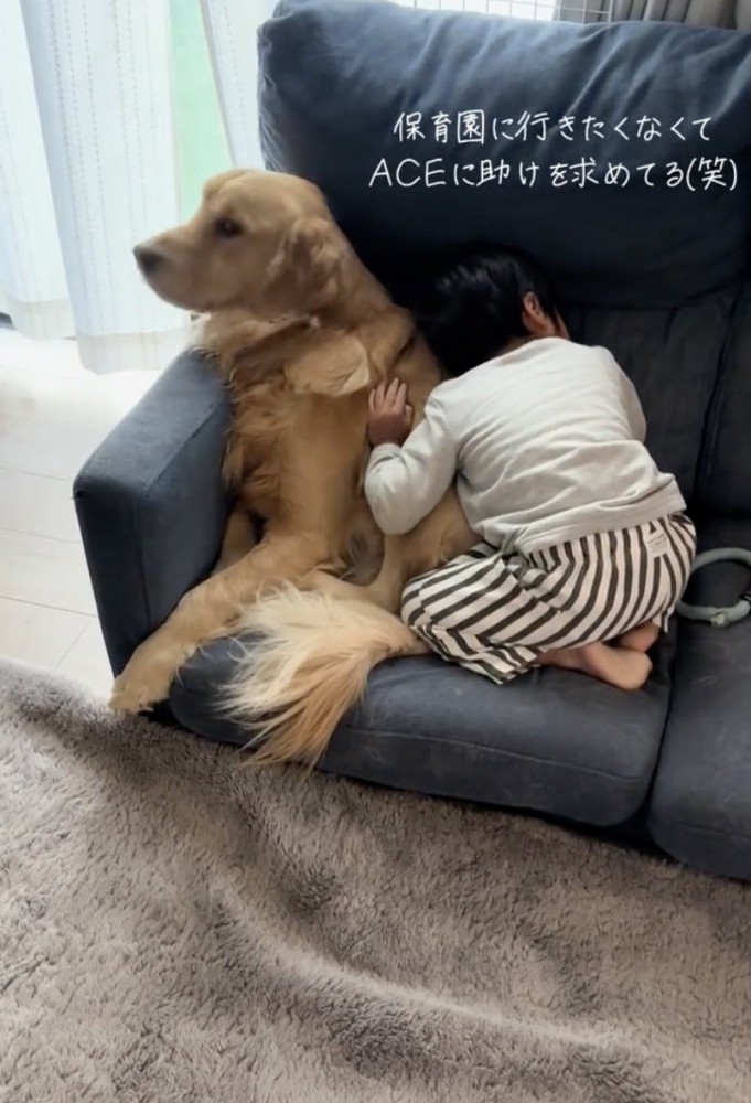 保育園に行きたくない男の子