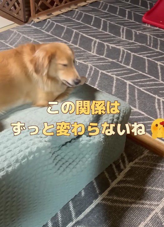 2人の絆は変わらない