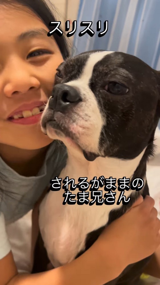 遠くを見つめる犬に顔を寄せる女の子