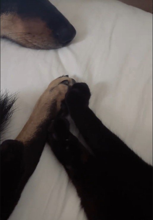 お手々をピタッ♡