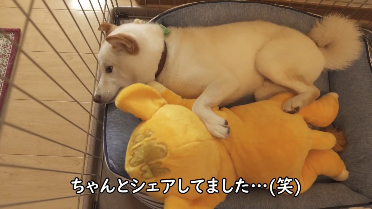 仲良く添い寝