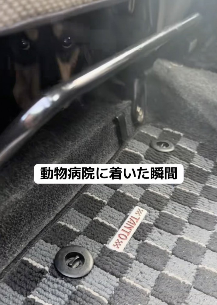 病院嫌いのお殿くん