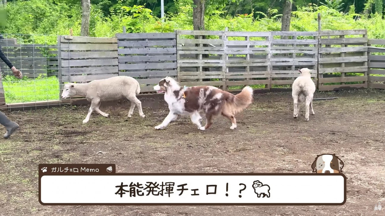 才能が一気に開花