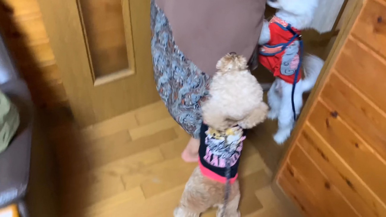 2匹揃って大喜び♪