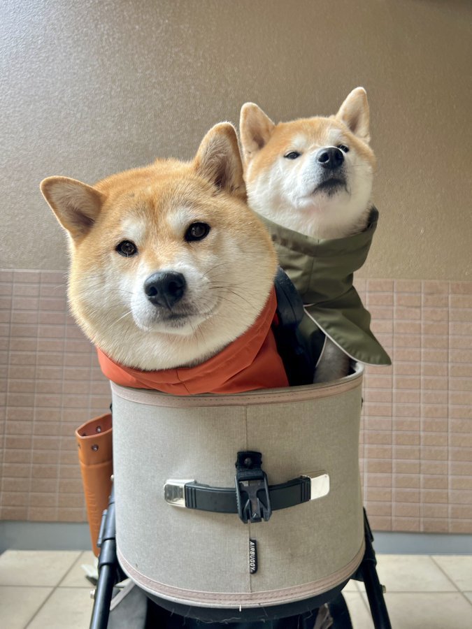 仲良し