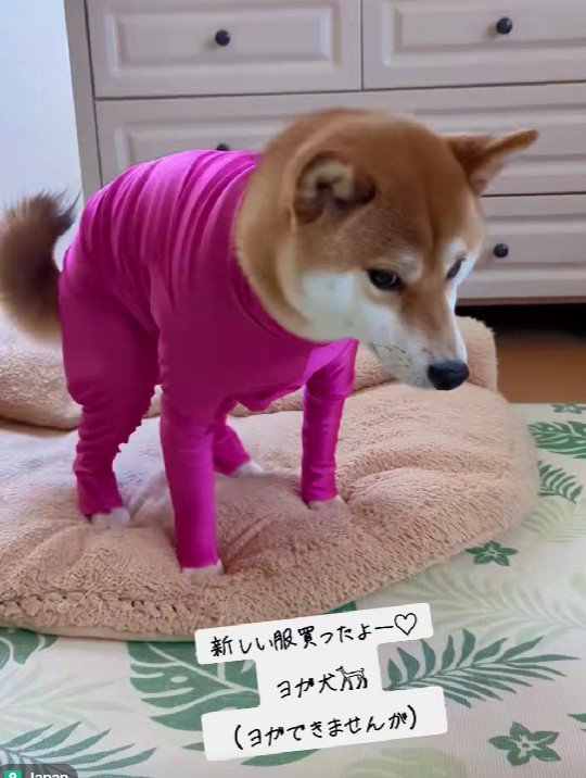 全身を見ると…