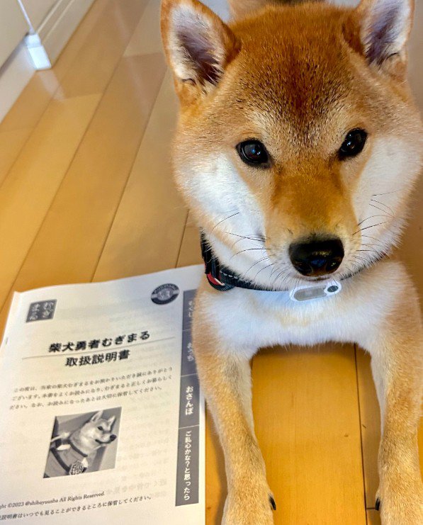 むぎまるちゃんの取扱説明書