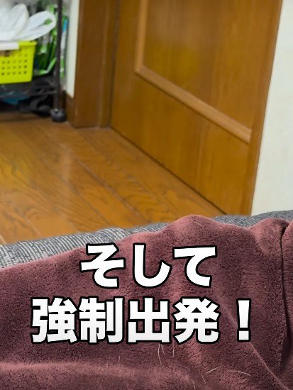 強制出発！！