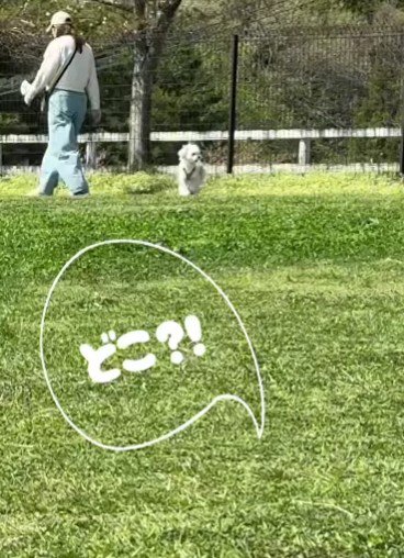 「ママはどこ？」