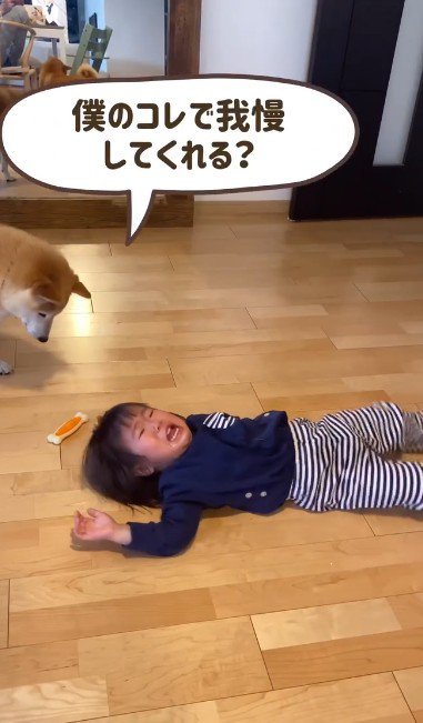 「もしよかったら…」