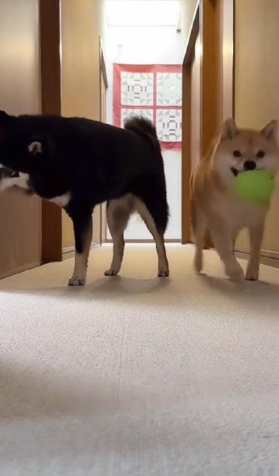 「ここ開けて～」