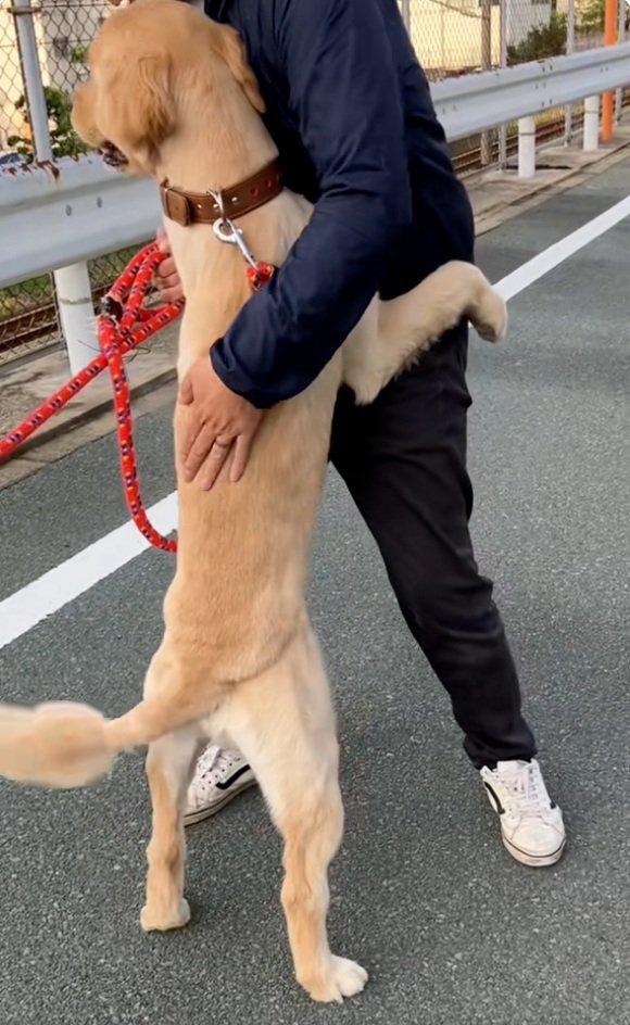 わんこを励ますパパ