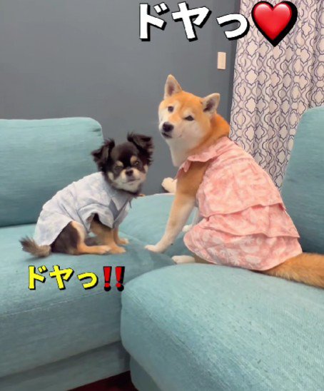 おそろいの服でおでかけ♪