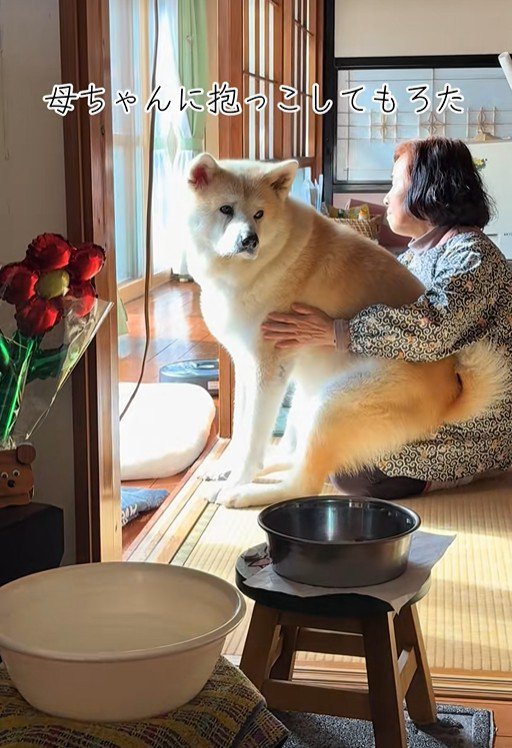 甘えん坊な駄偉助くんの日常2