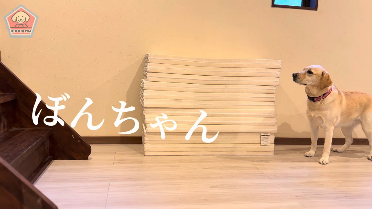 エールを送り続けたら…