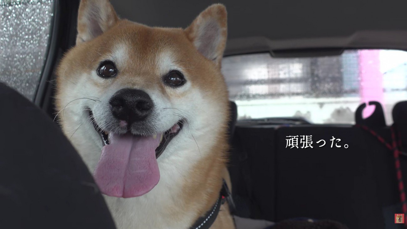 なんとか二度目の採血が終了