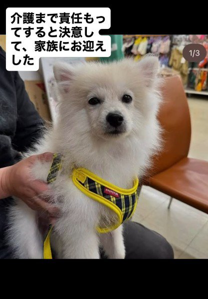 家族として迎え入れることを決意