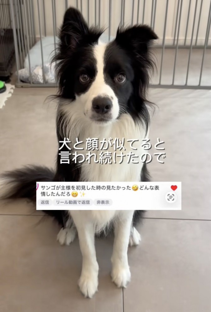 とっても美形なサンゴさん