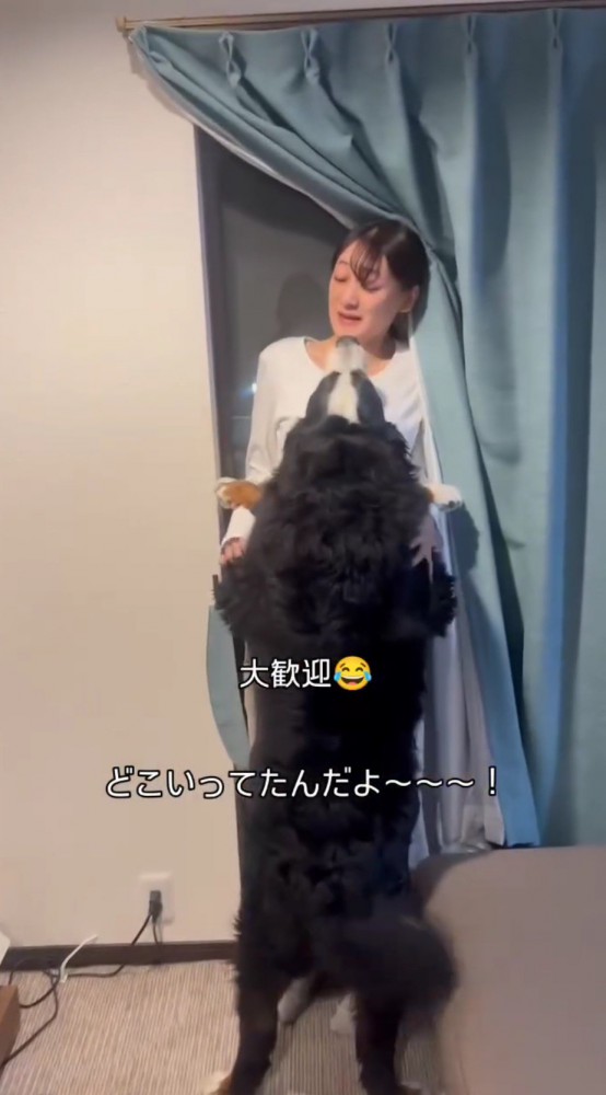 犬の勢いに圧倒される女性