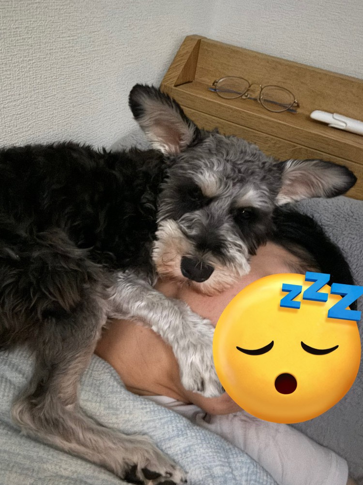 抱え込む