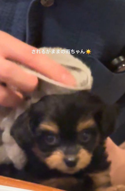 されるがままの姿にキュン♡