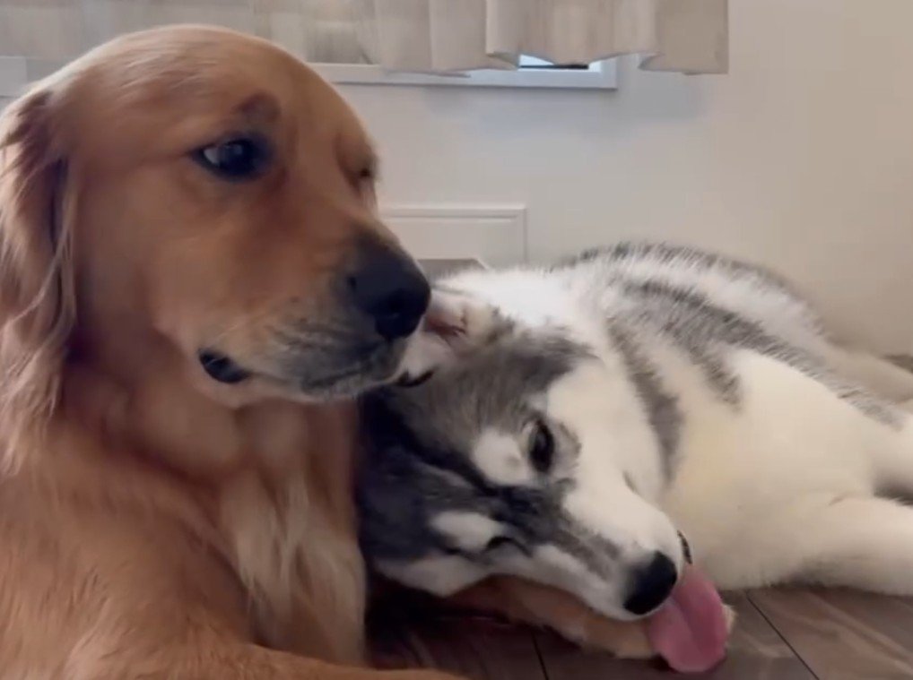 「やっぱりくるか…」