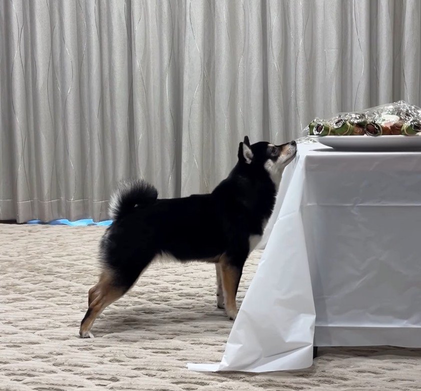 美味しそうな匂いをクンクン…