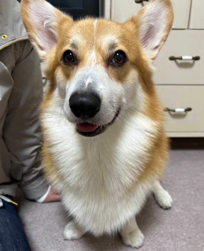 普段は美男子♪