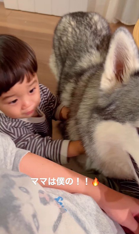 ママを取り合う星凪くん＆男の子3