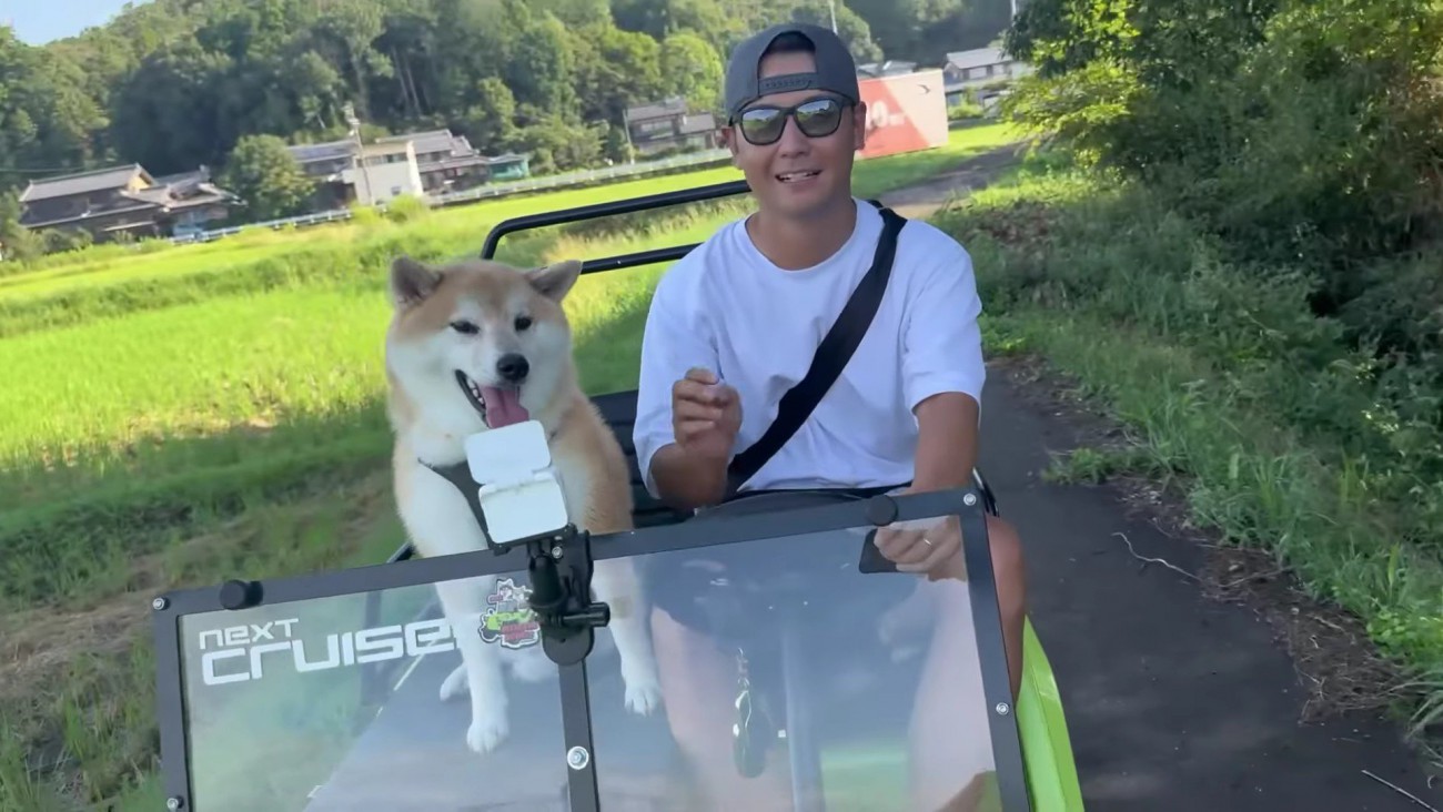 田んぼの畦道をドライブ