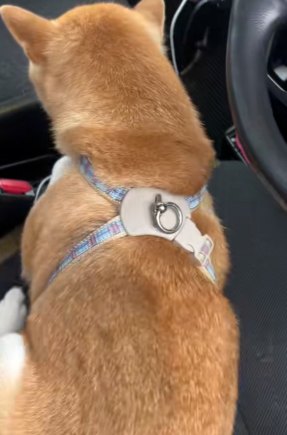 動き出したなっとうちゃん