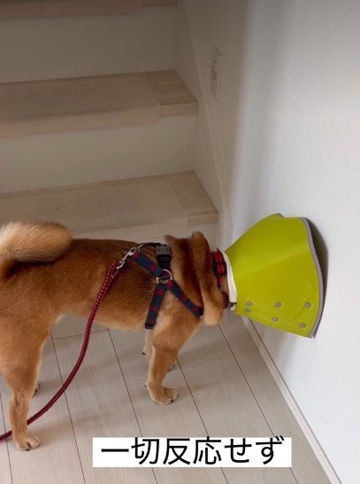 絶対怒った顔してる…！