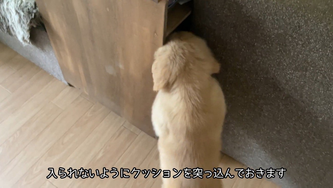 クッションで塞いだら…