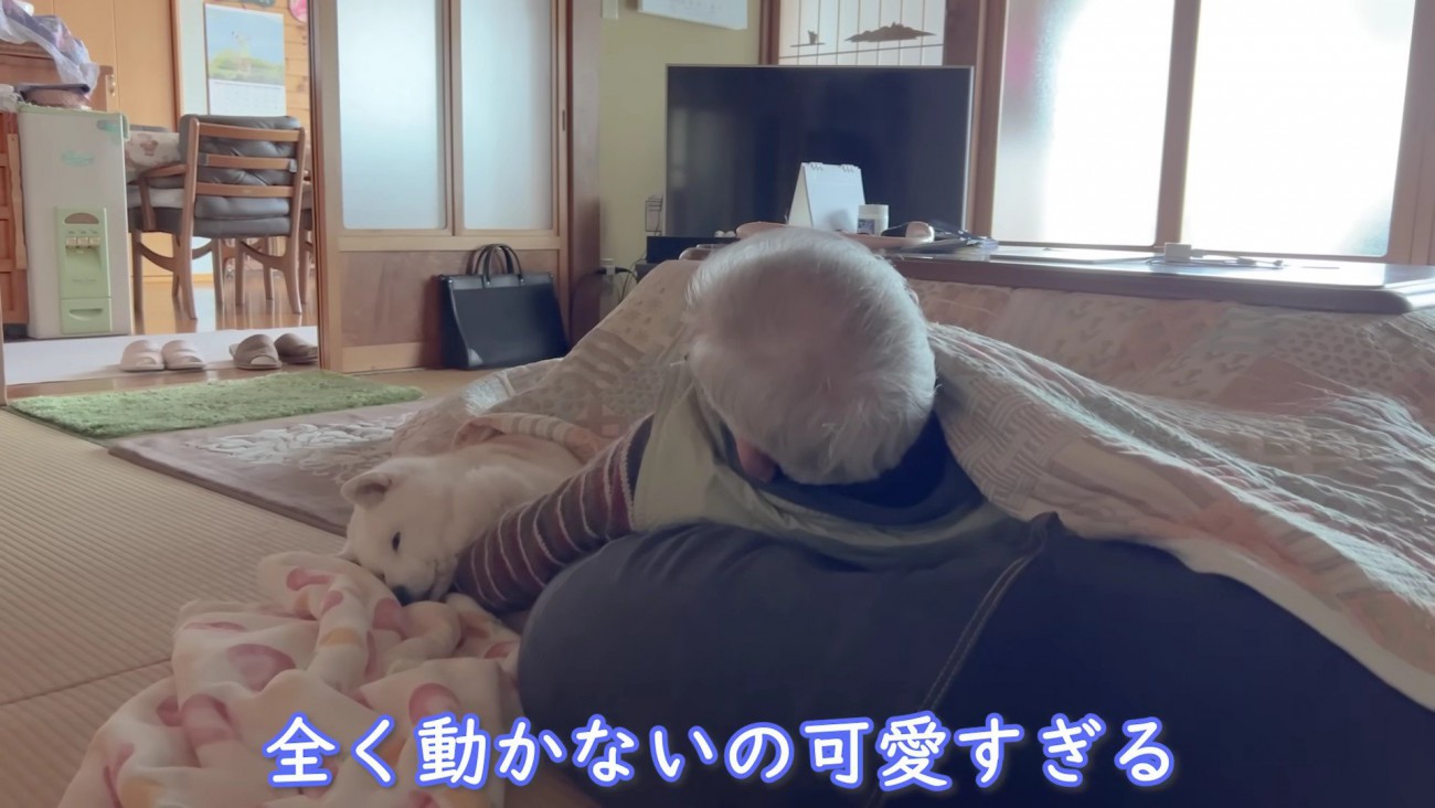 まったく動かない…