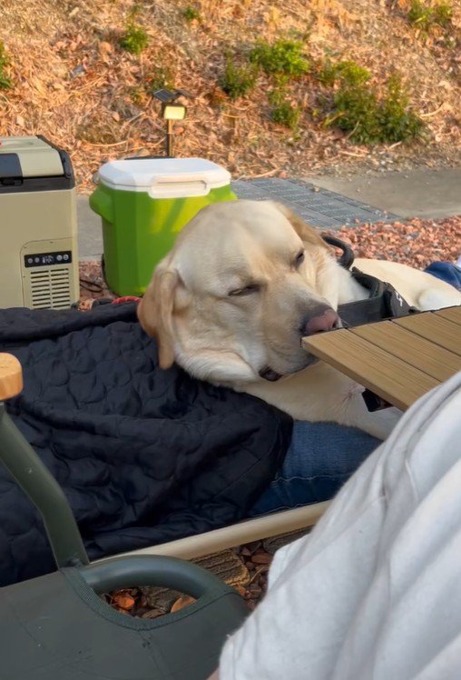 「ダメだ…やっぱり眠い…」