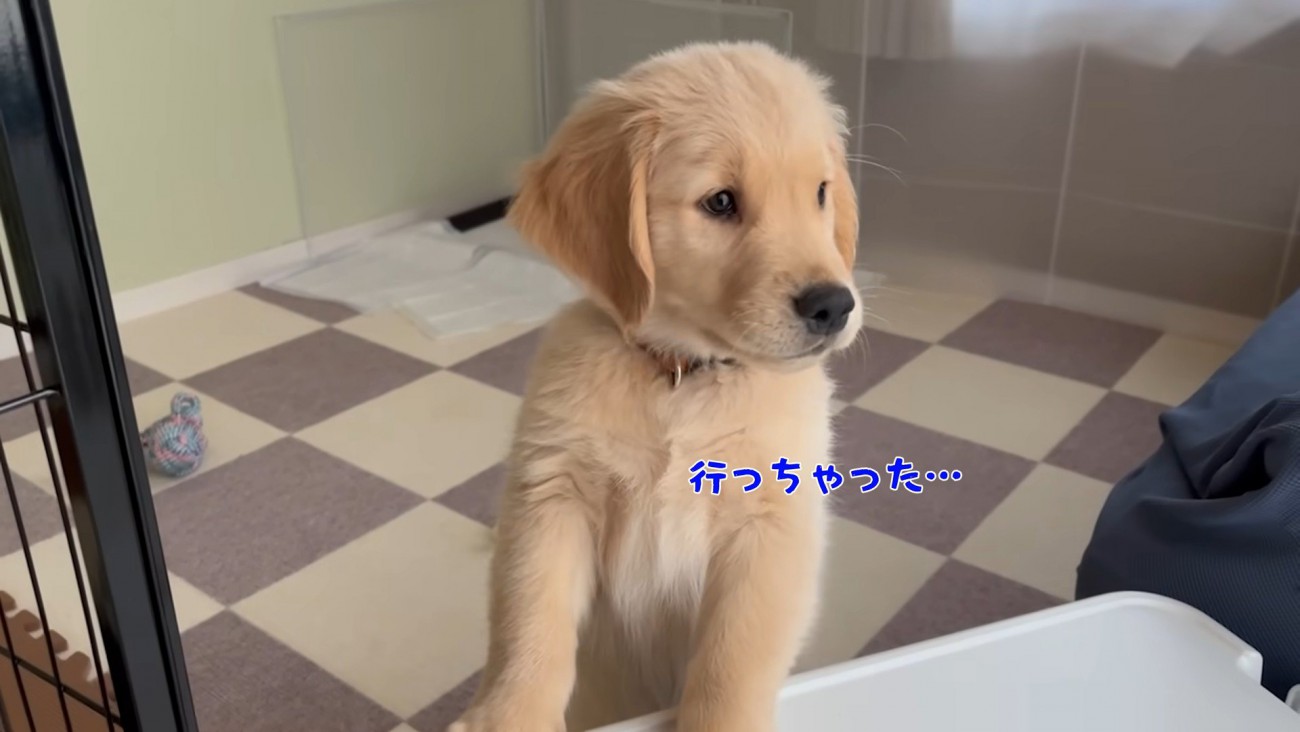 「お姉ちゃんはどこ？」