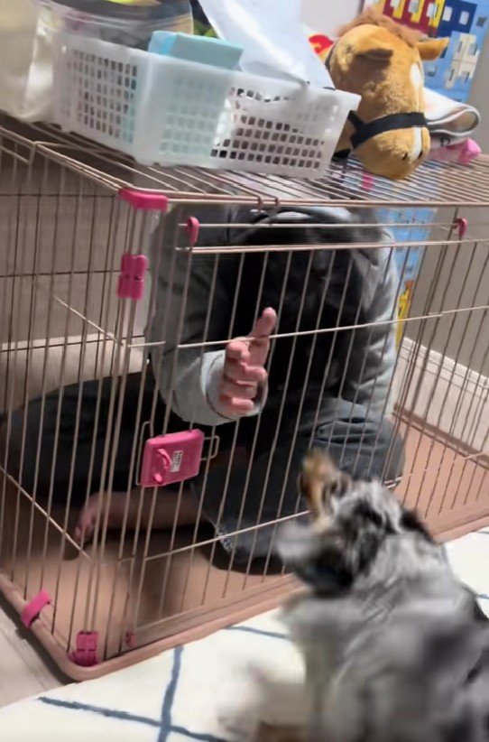 パパが助けを求めるも…