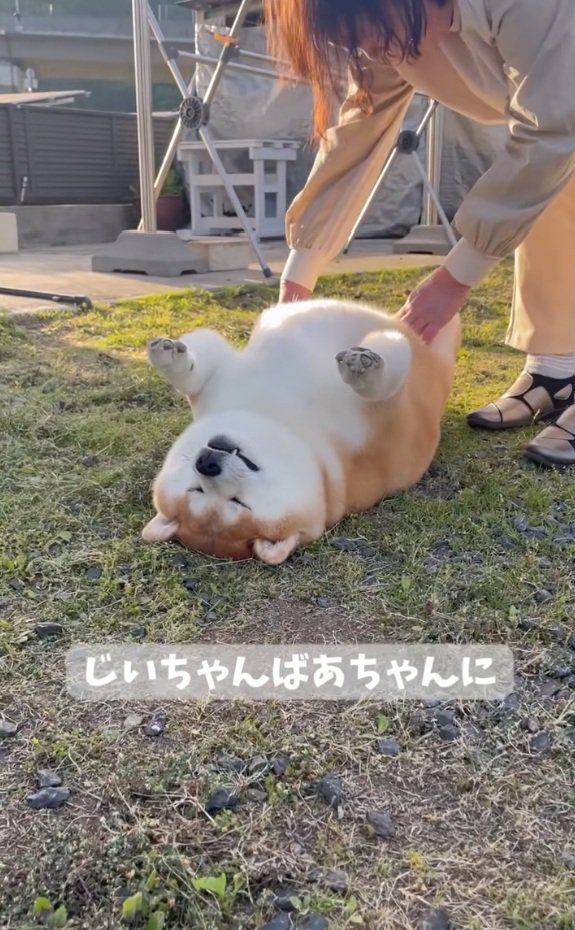 こちょばされる柴雄くん