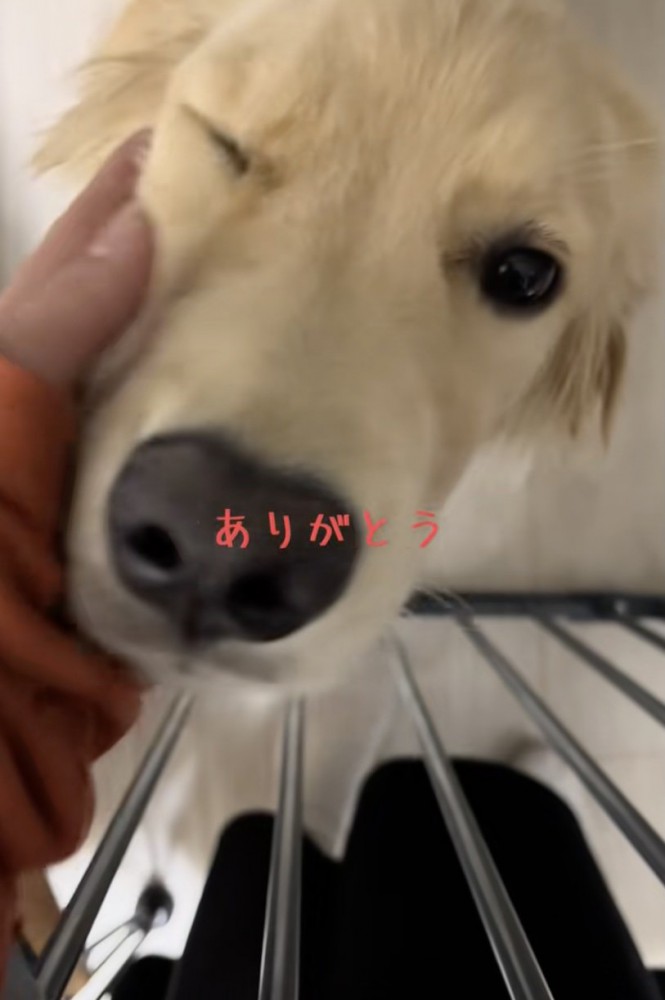 愛あふれる空間