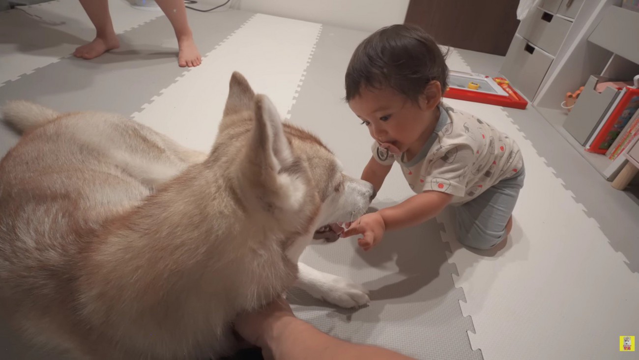 お姉ちゃんとも上手に遊ぶ
