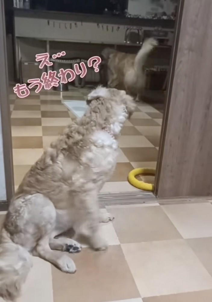 「つまんないっ」