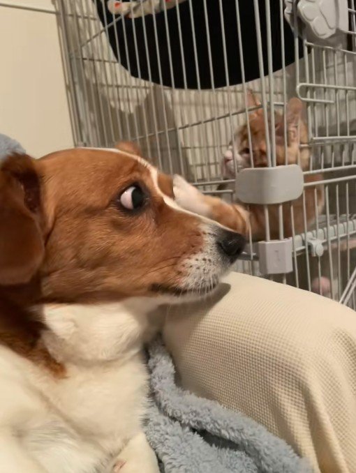 お耳をチョイチョイ♪