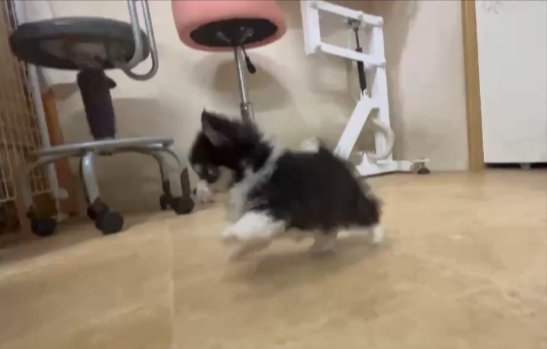 赤ちゃん