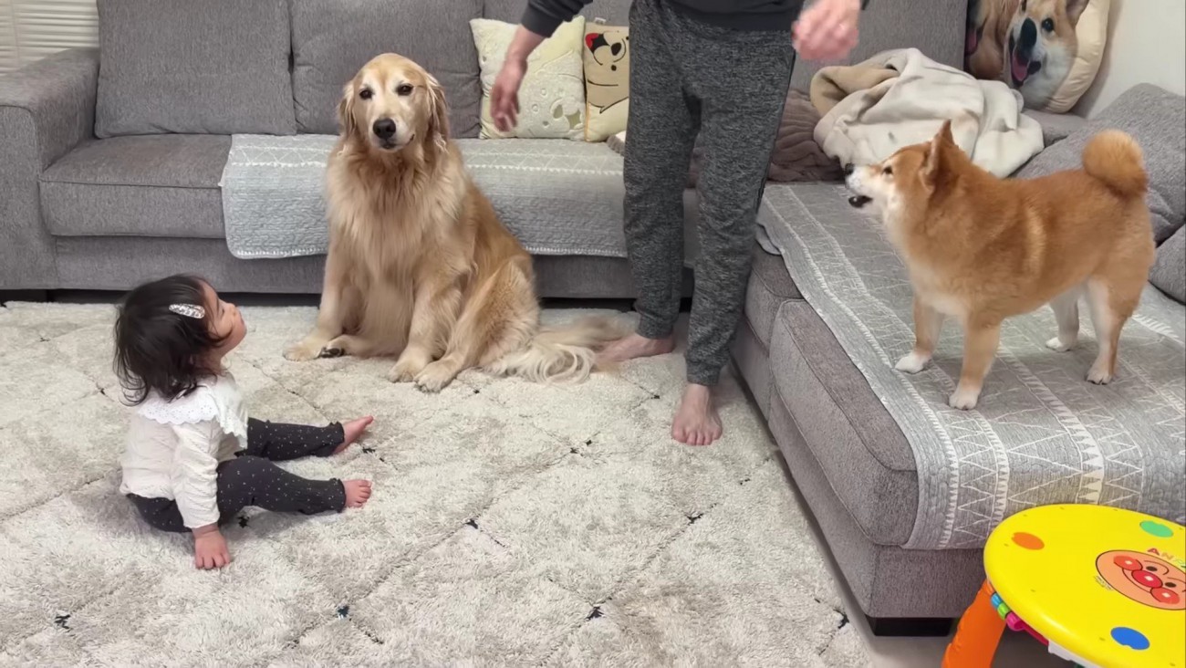 今日の抱っこは終了です！