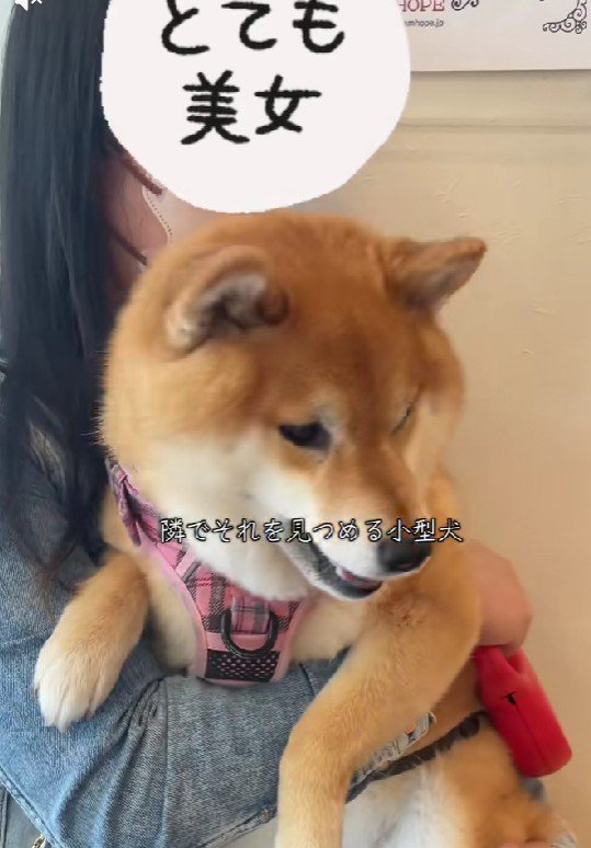 怖いけど頑張ったよ♪