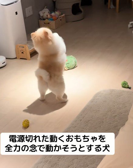 「お願い！動いて！」