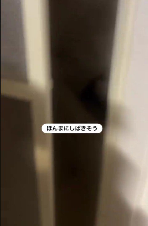物音が聞こえて…