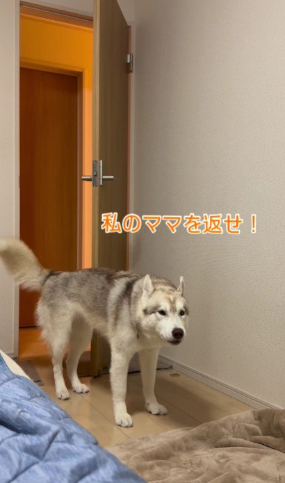 「私のママだよ！！」