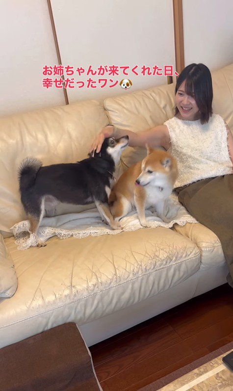 お姉ちゃん帰省時の小春ちゃん＆小太郎くん2